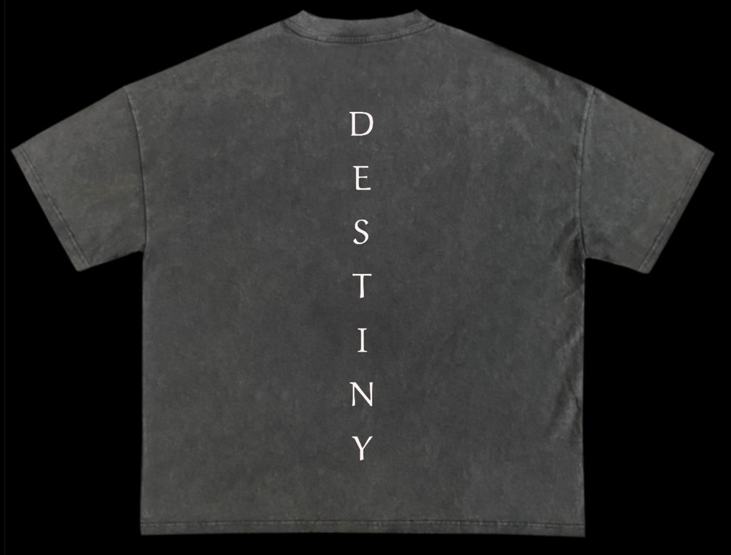 Off black Tee Shirt